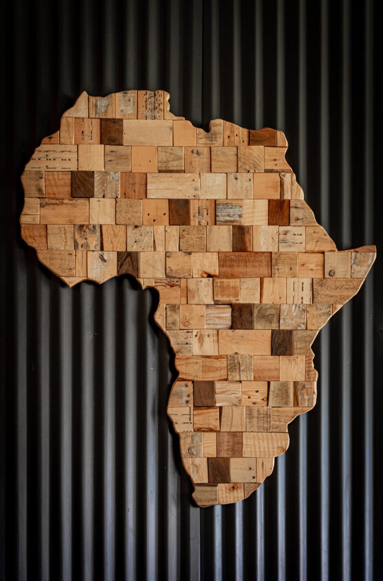 Africa Wood Chip Art